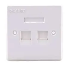 GIGANET DUAL FACEPLATE